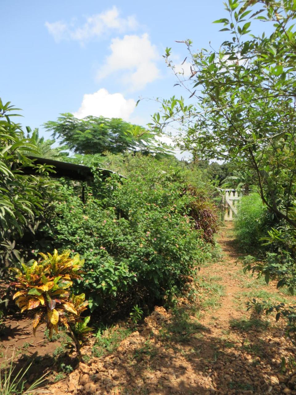 Bahati Diani House Glamping Diani Beach Extérieur photo